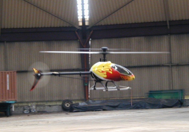 Logo 10 in mit neuer Haube im Flug
